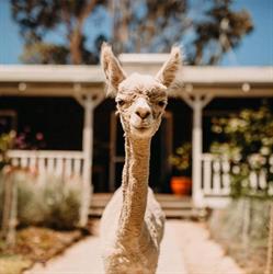 Margaret River Holiday Cottages