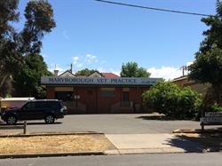 Maryborough Veterinary Practice