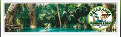 Mataranka Homestead Tourist Resort