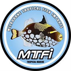 Melbourne Tropical Fish