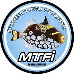 Melbourne Tropical Fish Imports