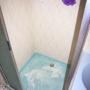 Shower - Before