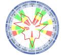 Pyschometric Assessment