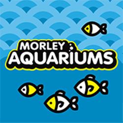 Morley Aquariums