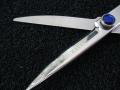 SCISSOR CARE