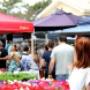 Orange Grove Mkt (8:00am - 1:00pm)