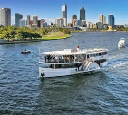 Paddle Steamer Decoy