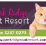Park Ridge Cat Resort