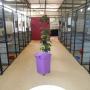 Park Ridge Cat Resort