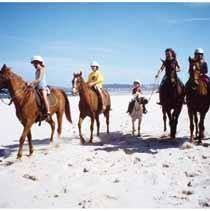 Pegasus Park Equestrian Centre
