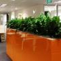 Perfection Plant Hire