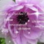 Uploaded by visitor on 28/5/2017