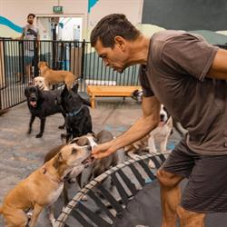 Pets Wonderland (Elanora Qld)
