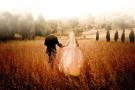 Prophoto - Wedding Photographer