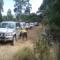 Day Trip Convoy