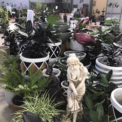 Spot on Pots and Nursery