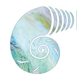 Precision Hearing (Darlinghurst Nsw)