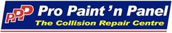 Pro Paint 'N Panel