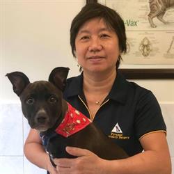 Pyramid Veterinary Surgery