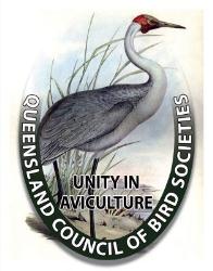 Queensland Council Of Bird Societies