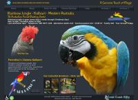 Rainbow Jungle