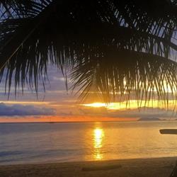 The Reef Retreat Palm Cove