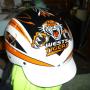 Hand painted trotting helmet