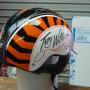hand painted trotting helmet