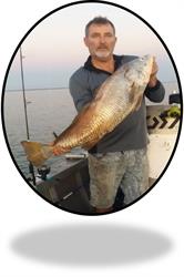 Rocks Marine Bait & Tackle