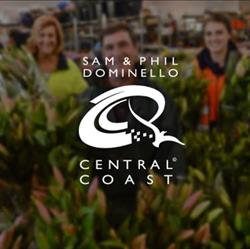 S&p Dominello