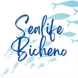Sealife Centre Souvenir Shop