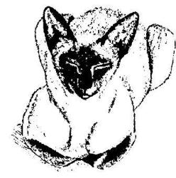 Seki Cattery