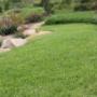 Uploaded by visitor on 3/1/2017 - Palmetto