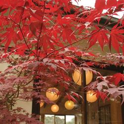 Shizuka Ryokan Japanese Wellness Retreat & Bathhouse