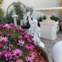 Garden Ornaments & Statues