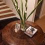 Uploaded by visitor on 10/9/2017 - Specialty Wood Veneer Panels pressed the veneer