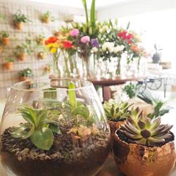 Stirling Florist