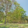 Powered camp sites