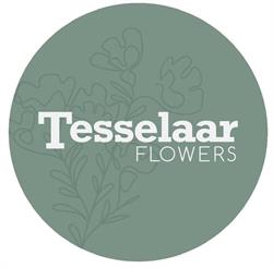 Tesselaar Flowers - Melbourne