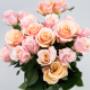 Flowers WA - Perth | Roses Hybrid