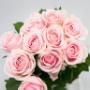 Flowers WA - Perth | Roses Hybrid