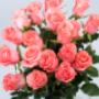 Flowers WA - Perth | Roses Hybrid