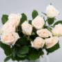 Flowers WA - Perth | Roses Hybrid