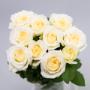Flowers WA - Perth | Roses Hybrid