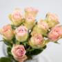 Flowers WA - Perth | Roses Hybrid