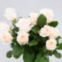 Flowers WA - Perth | Roses Hybrid