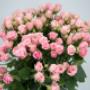 Flowers WA - Perth | Roses Spray