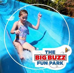 The Big Buzz Fun Park