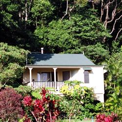 The Falls Rainforest Cottages-Bed & Breakfast
