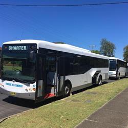 Tinonee Bus Co Pty Ltd